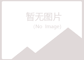 宁夏字迹会计有限公司